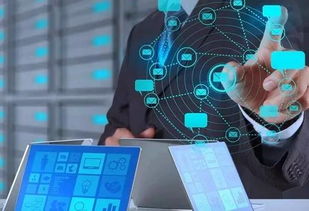 河北互聯(lián)網(wǎng)政務(wù)服務(wù)發(fā)展成效顯著，權(quán)威數(shù)據(jù)透視創(chuàng)新與惠民成果